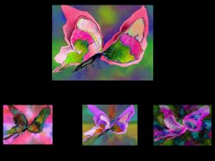 MARIPOSAS (DISTINTAS V.. Distracci�nes - Arte - 